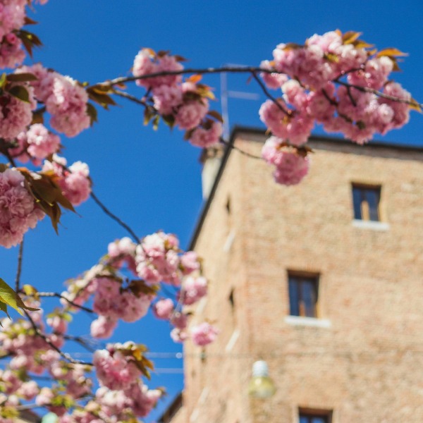 Awaken your senses along storied rivers with AmaWaterways