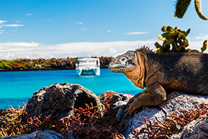 South America/Galapagos